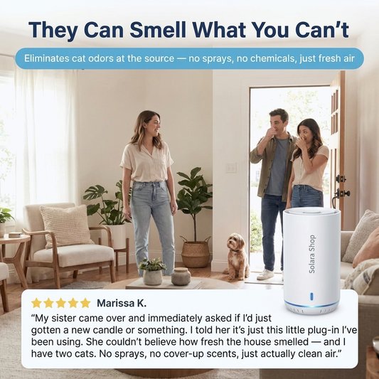 Ozone Odor Plug